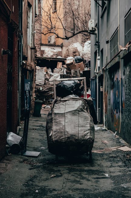 A narrow urban alleyway cluttered with large piles of discarded cardboard boxes, plastic bags, and miscellaneous rubbish stacked against a weathered back wall. In the foreground, a large, grey, plastic rubbish bag on wheels is positioned on the cracked, dirty pavement, suggesting recent collection or awaiting removal. To the right, the side of a graffiti-covered building with metal security bars on windows is visible, while on the left, another building with peeling paint and exposed bricks can be seen. In the background, a dense accumulation of cardboard boxes and trash heaps fill the space, partially obscured by leafless tree branches extending overhead, indicating early spring or late autumn. The environment appears neglected, characteristic of a back alley used temporarily for waste storage, supporting concepts related to independent rubbish collection and on-site waste handling typical of private waste disposal services, as might be seen in a rubbish removal context.